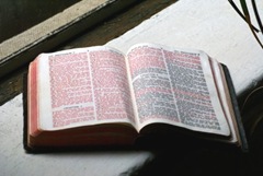 [old bible opend up on window sill with palms off to the side[10].jpg]