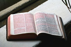 old bible opend up on window sill with palms off to the side