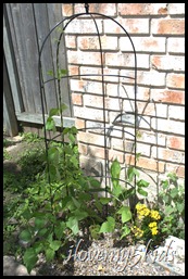 KY Wonder Green Beans