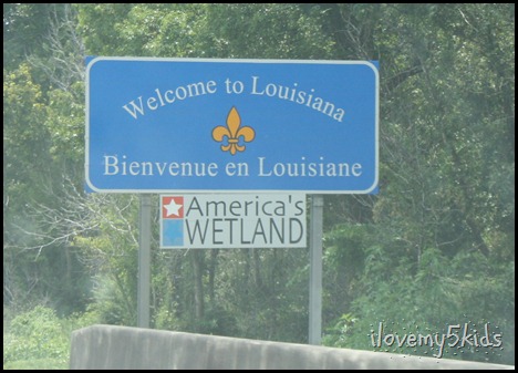 Bienvenue en Louisiane – America’s WETLAND and the BIG EASY