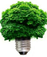 green green