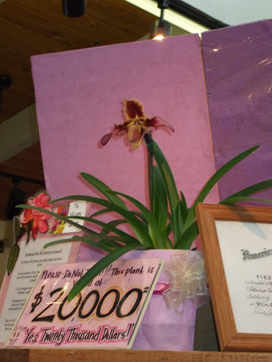 Akatsuka Orchid Gardens