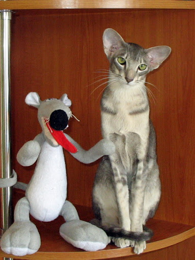 http://lh3.ggpht.com/_UZQ-VM8tANg/SpjUhvkoJyI/AAAAAAAAAC4/p2mI5penlaE/Gal4.jpg