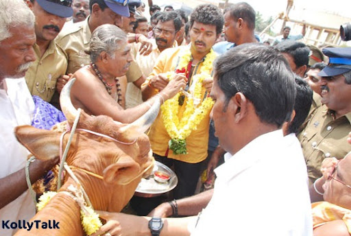 Vijay did the Cow Pooja Vijay did the Cow Pooja