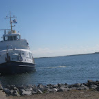 Bruinisse omgeving