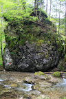 View Photo