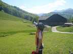 View Photo