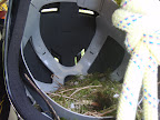 View Photo