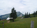 View Photo