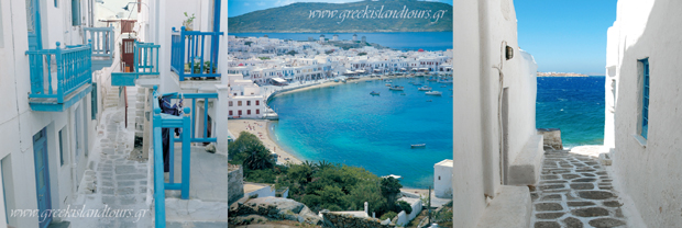 width=