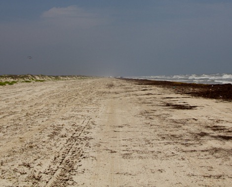 strand strand