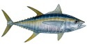 [Pavones Golfito Costa Rica Tuna Fishing[3].jpg]