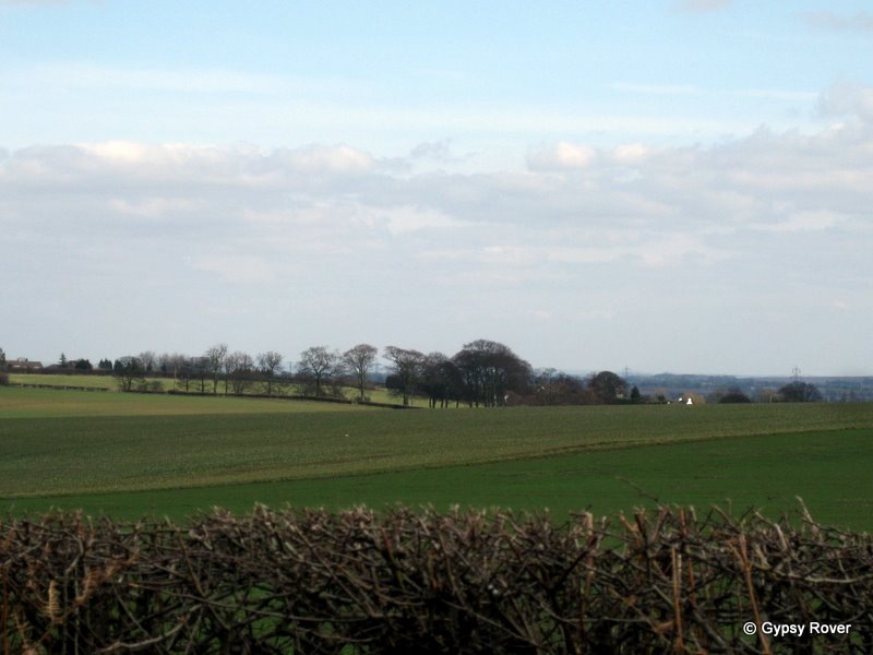 [Tame Valley 051[6].jpg]