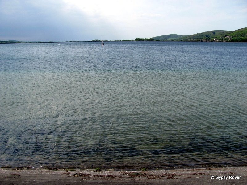 [IMG_14614.jpg]