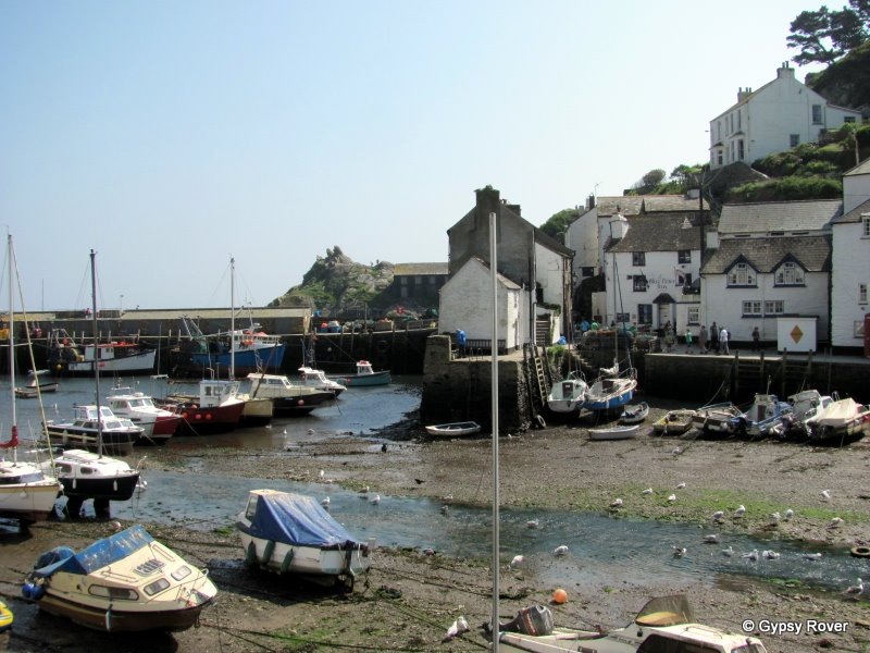 [IMG_10707.jpg]