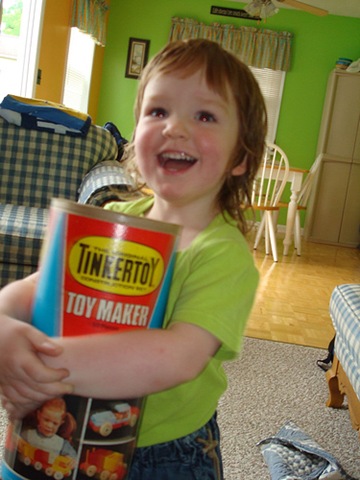 [tinkertoys[3].jpg]