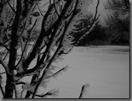 cold01062010-2 cold01062010-2