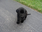 DSC01106.JPG