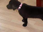 DSC01109.JPG