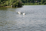 IMG_0732.JPG
