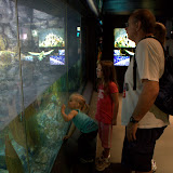 IMG_3431.jpg