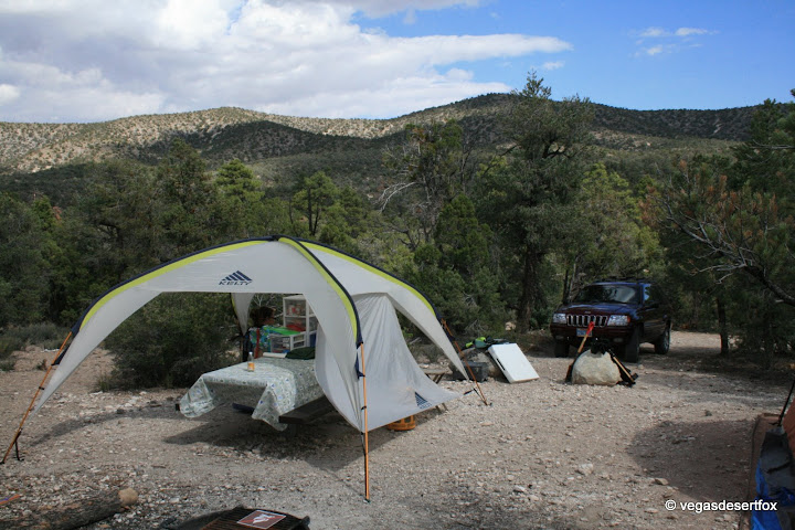 product page tent camping pass site adult product page tent camping pass site adult