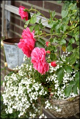 blog 13
