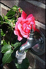 blog 14