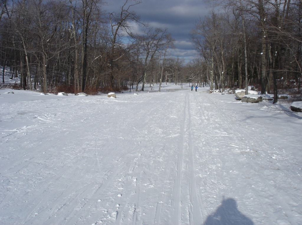 [DSC07721[4].jpg]