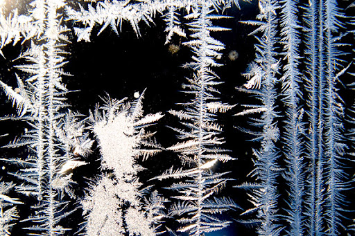 frost