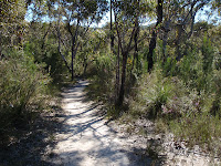 Path Photo