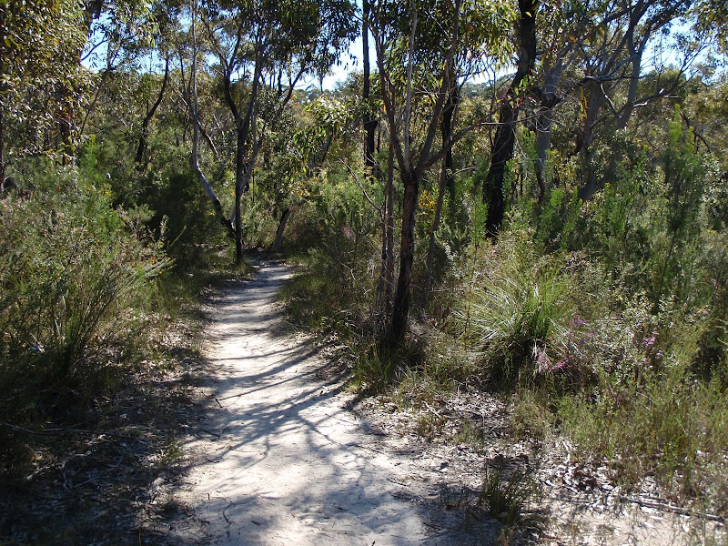 Path Photo