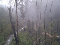 A view of the road and the creek