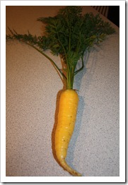 My Carrot 002
