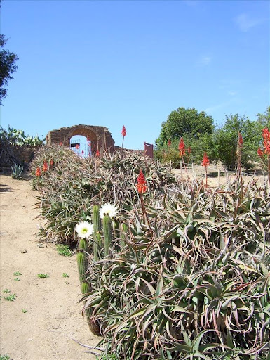 Mission Orchards