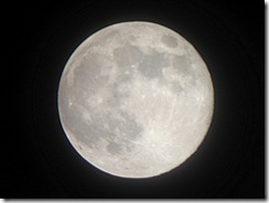 moon moon