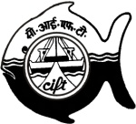 [image[5].png]