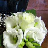 IMG_0033.JPG