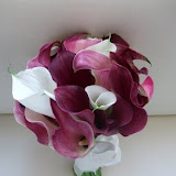 DSCF1048.JPG