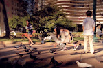 Praça da Liberdade. Inverno ou outono? Primavera talvez.