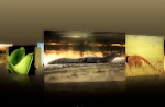 Frame do vídeo institucional da Fundação Biodiversitas que comemora os seus 20 anos através de depoimentos de várias personalidades que fizeram e fazem parte da história da organização.