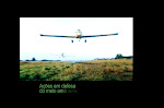 Frame do vídeo produzido para o IEF - Instituto Estadual de Florestas de Minas Gerais.