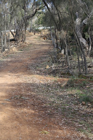 [IMG_88814.jpg]