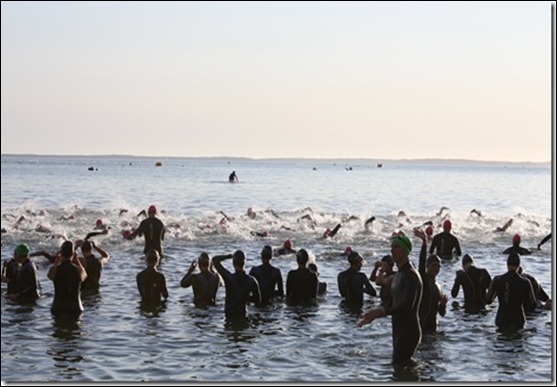 swim4