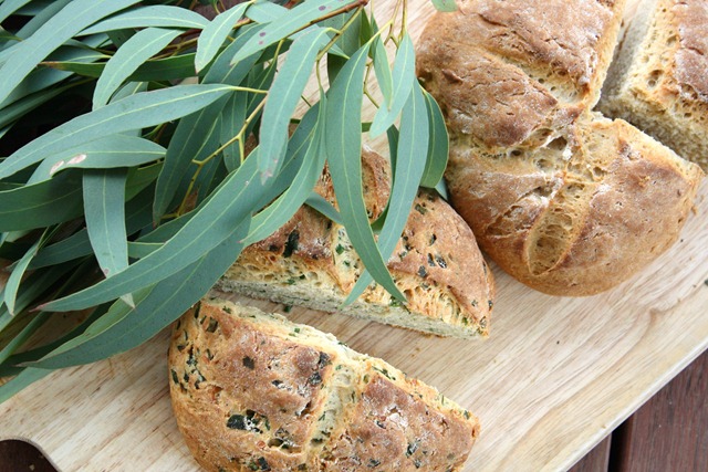 [IMG_5009[4].jpg]