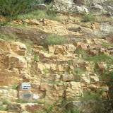 DSC09422.JPG
