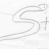 snakeriver.jpg