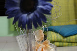 dsc01499.jpg