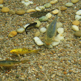 This was the clear pool with some fish in it. Quite uninteresting really.