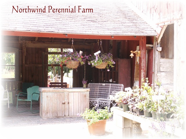 [Perennial Farm 2[4].jpg]